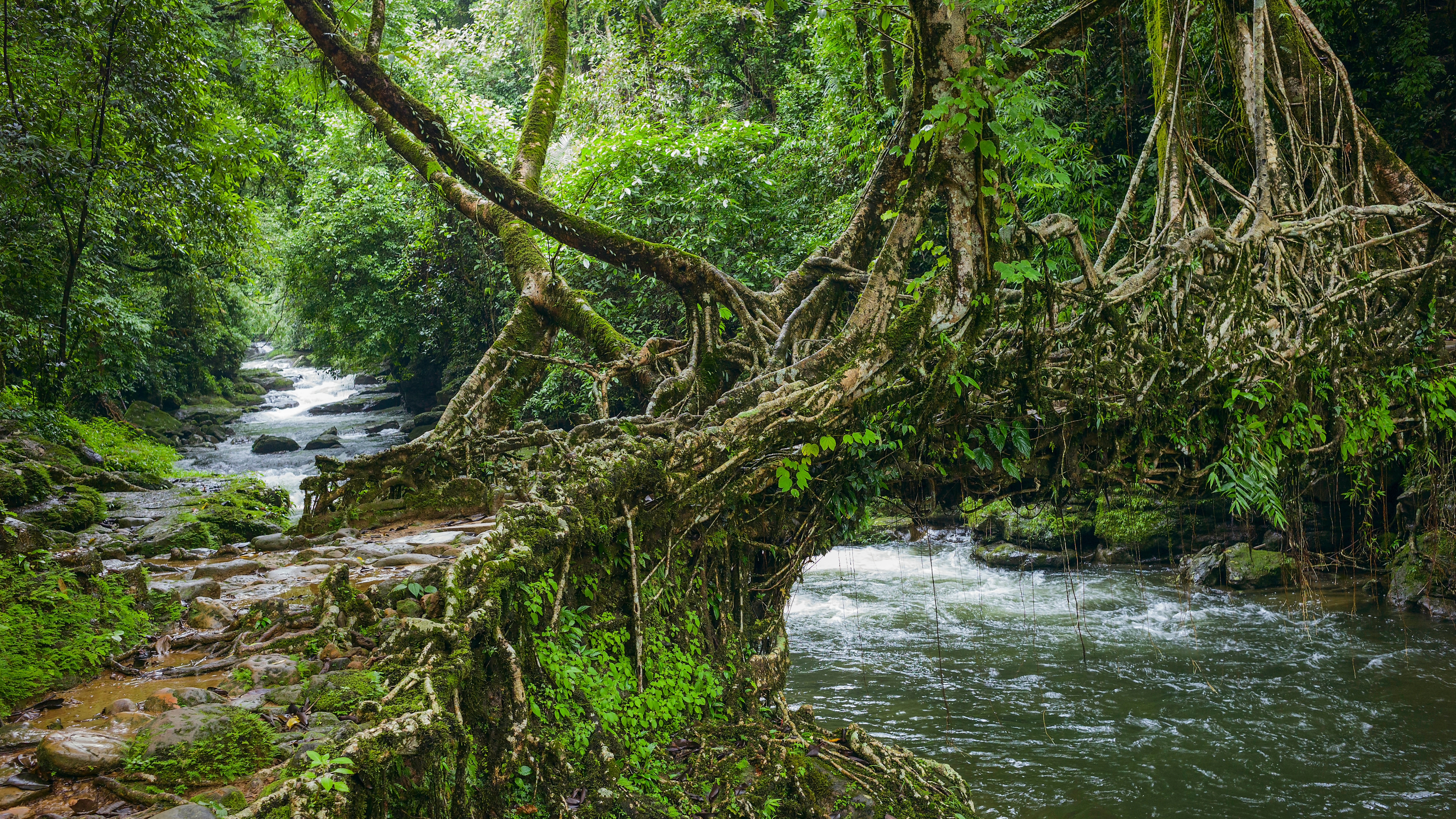 Meghalaya Waterfalls and Hills